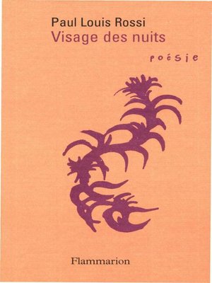 cover image of Visage des nuits